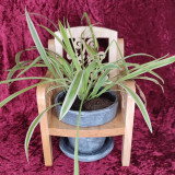 porte plante en bois d'une chaise