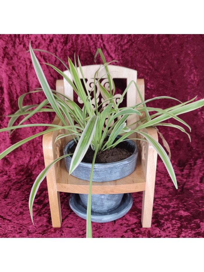 porte plante en bois d'une chaise