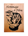 commande client d'animaux