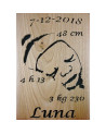 Commande Client pour naissance