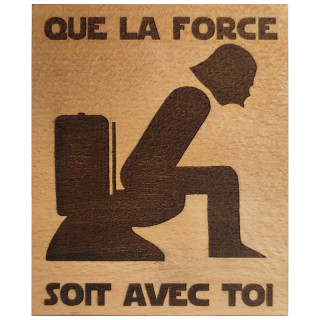 Voici une plaque de porte humoristique pour les Toilettes dark vador