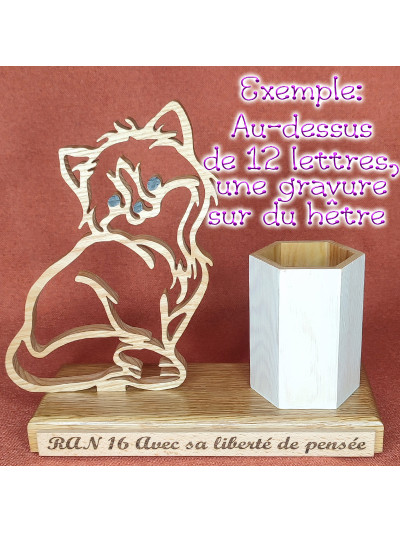Pot à Crayons en bois d’une fée avec un papillon