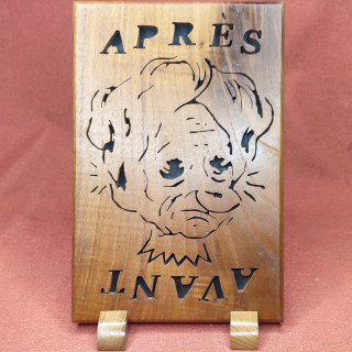 Tableau d’un magnifique portrait de votre belle-mère, avant, après.