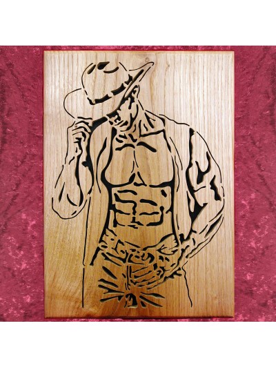 Tableau d'un Cow-boy sexy